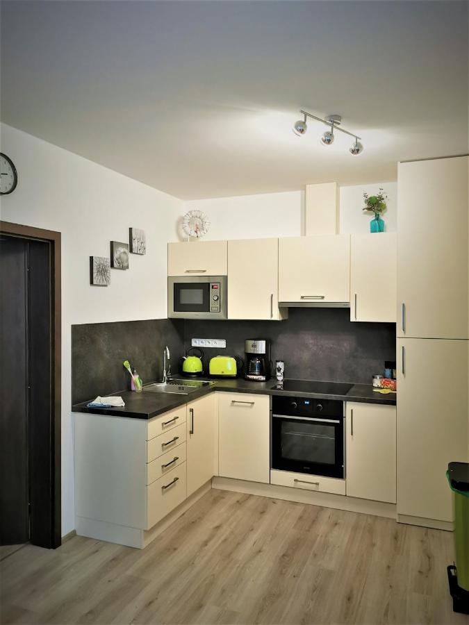 Апартаменты Apartman 5 Klinovec Лоучна-под-Клиновцем Экстерьер фото