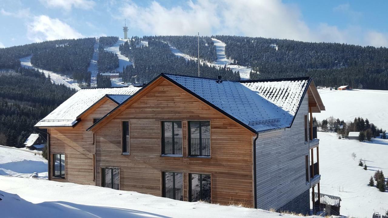 Апартаменты Apartman 5 Klinovec Лоучна-под-Клиновцем Экстерьер фото